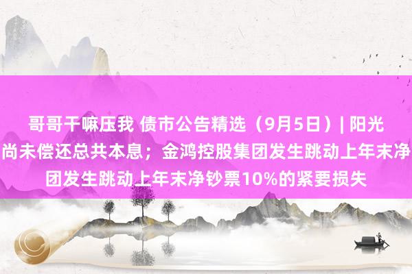 哥哥干嘛压我 债市公告精选（9月5日）| 阳光城到期好意思元单据尚未偿还总共本息；金鸿控股集团发生跳动上年末净钞票10%的紧要损失