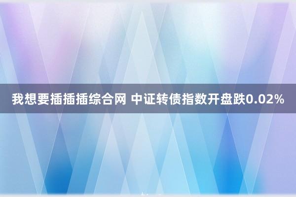 我想要插插插综合网 中证转债指数开盘跌0.02%