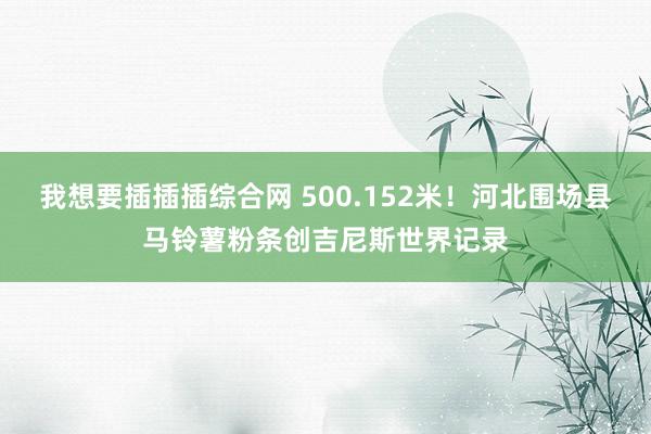 我想要插插插综合网 500.152米！河北围场县马铃薯粉条创吉尼斯世界记录