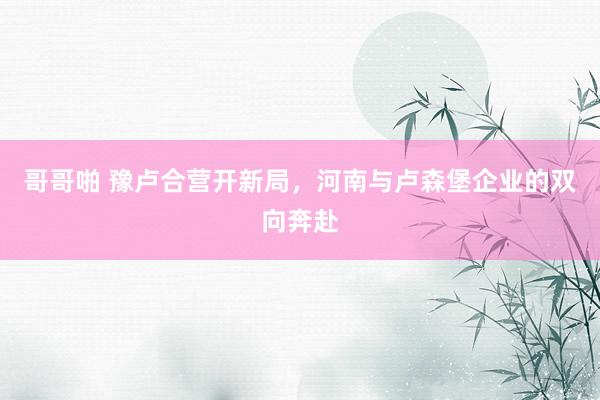 哥哥啪 豫卢合营开新局，河南与卢森堡企业的双向奔赴