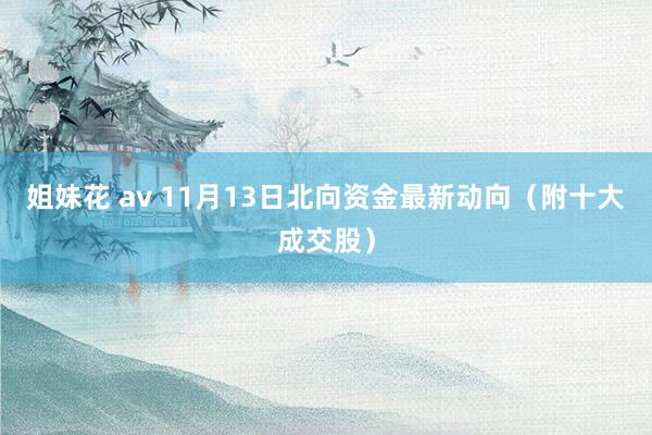 姐妹花 av 11月13日北向资金最新动向（附十大成交股）