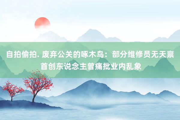 自拍偷拍. 废弃公关的啄木鸟：部分维修员无天禀 首创东说念主曾痛批业内乱象