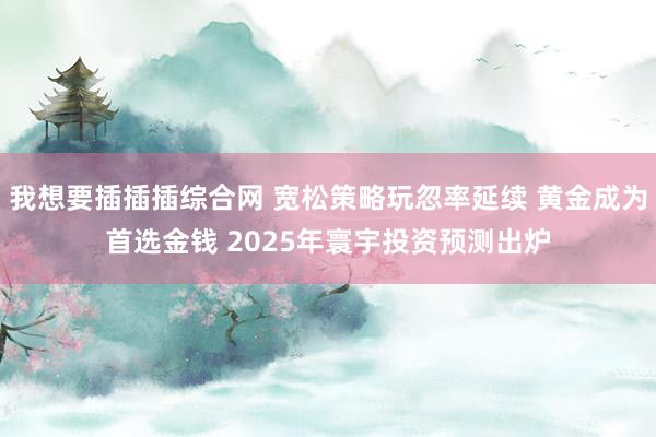 我想要插插插综合网 宽松策略玩忽率延续 黄金成为首选金钱 2025年寰宇投资预测出炉