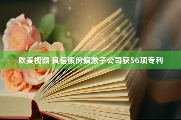 欧美视频 良信股份偏激子公司获56项专利
