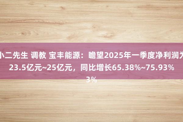 小二先生 调教 宝丰能源：瞻望2025年一季度净利润为23.5亿元~25亿元，同比增长65.38%~75.93%