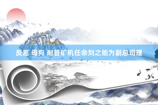 反差 母狗 耐普矿机任命刘之能为副总司理
