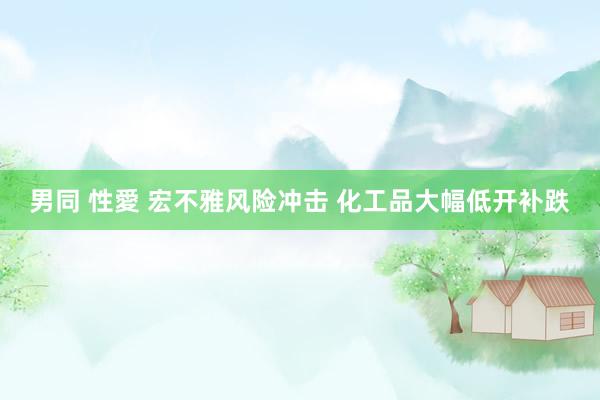 男同 性愛 宏不雅风险冲击 化工品大幅低开补跌