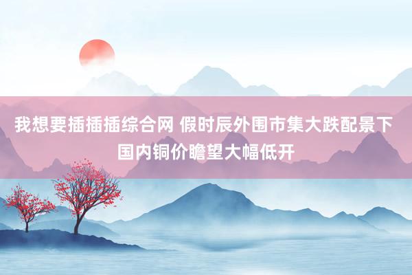 我想要插插插综合网 假时辰外围市集大跌配景下 国内铜价瞻望大幅低开
